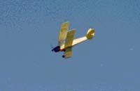 sport scale biplane model